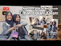 ALULA AISY ALLAHUMMA SHOLLI ALA MUHAMMADIN IKAN DALAM KOLAM LIVE RECORD