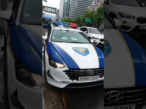 Namdaumun04 again and again, they came back after 5 minutes 20230506_130313