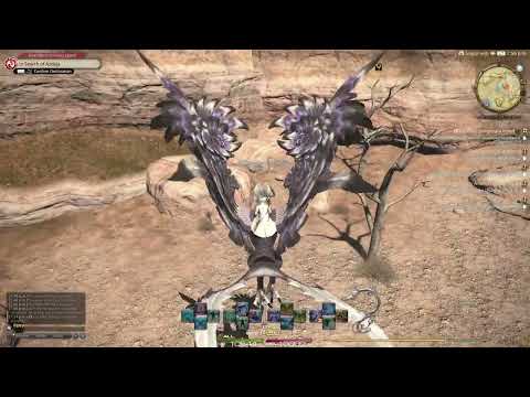 FFXIV: Daily Quest - For Fast, Temporary Relief (White Mage)