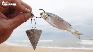 Small bait catches BIG FISH! Best bait for Beach fishing!
