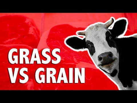 GRASS FED VS GRAIN FED BEEF (grass finished is...