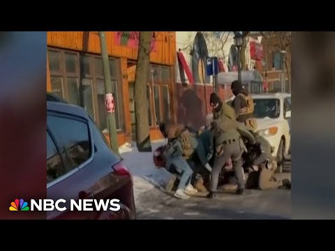 New video shows Alex Pretti interacting with federal agents days before fatal shooting