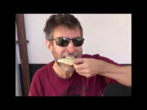 Sardinian Maggot Cheese