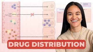 Drug Distribution - Pharmacokinetics | Pharmacology