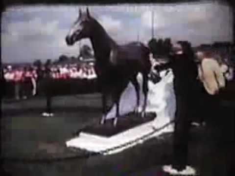 Adios Statue Dedication 50th Anniversary