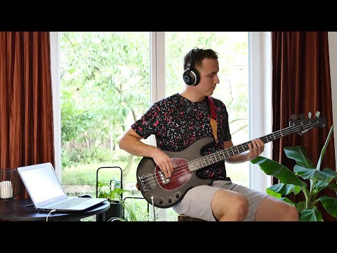@BluDeTiger, @Biig_Piig  - Crash Course [bass cover]
