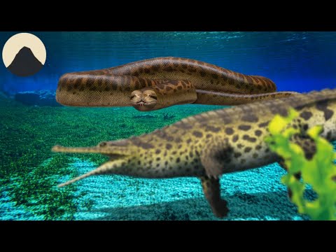 The Habitat That Made The Largest Snake Known