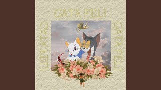 Gata Feli Music Video