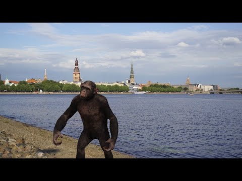 Mazais mērkaķīts  (izpilda - INESE GRESTE)