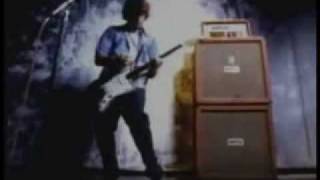 Seeds Music Video