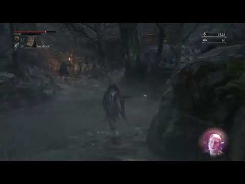 Cannon Fodder - Bloodborne Twitch Clip