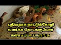 புதுசா நாட்டுகோழி வளர்க்க ஆசையா 15 Tips How 