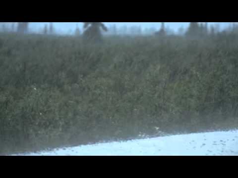 Dylan Donkin - Lock Eyes