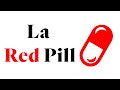 Qu Est Ce Que La Red Pill
