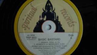 Basic Bastard - Moments In Meisures