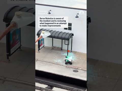 Video of a delivery robot after smashing through a bus shelter's glass goes viral