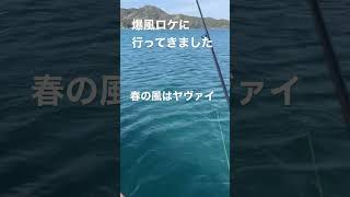 春の風は釣らせる気ゼロ！春のイカ探し🦑 #イカ釣り #コウイカ #エギング