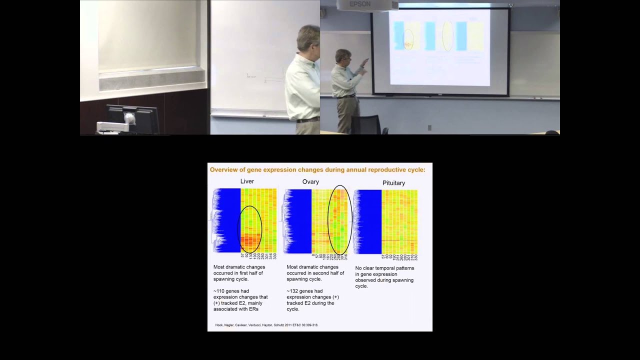 Models linking molecules-to-organisms