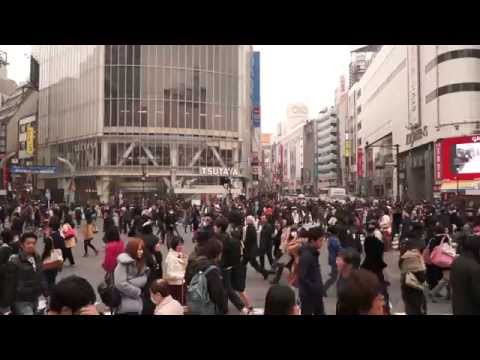 PEAK at UTokyo