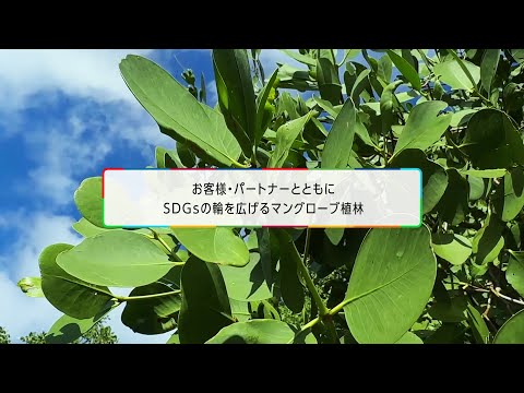 マングローブ保護活動に反対!