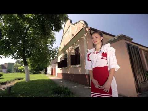 RS AP VOJVODINA promo film