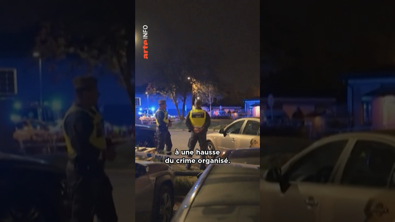 Comment les feux d'artifice sont devenus un problème en Europe ? #expresso #arte #gangs #crime