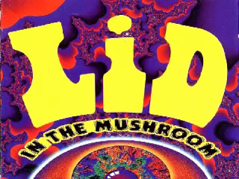 Lid - In The Mushroom