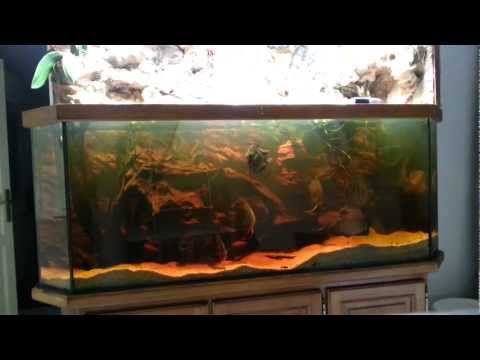 comment monter ph aquarium
