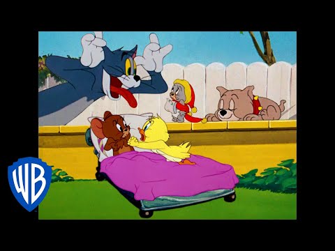 Tom & Jerry | Who is the Cutest? | Classic Cartoon Compilation | WB Kids