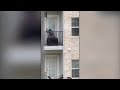 Video Shows San Antonio Woman Repeatedly Hitting 3 Month Old Poodle