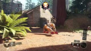 COD BO3　やはり難しい、