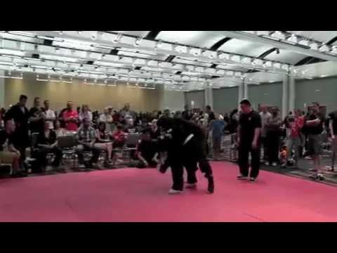 Hybrid Fighting 2012 CNE2012HFA22