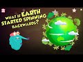 What If EARTH Starts Spinning Backward? | Earth | Dr Binocs Show | Peekaboo Kidz