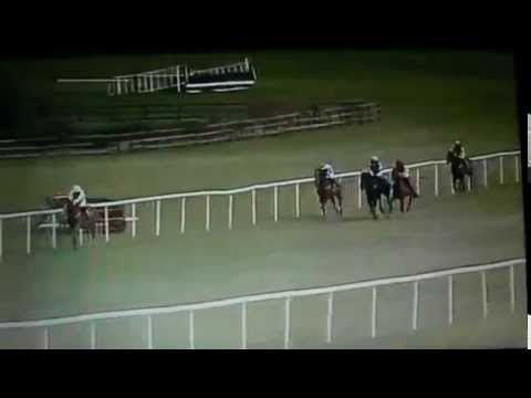 Faugheen the Machine first the rest nowhere - a bumper performance !