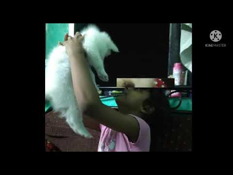 💁Suhani 💟 Lucy🐶