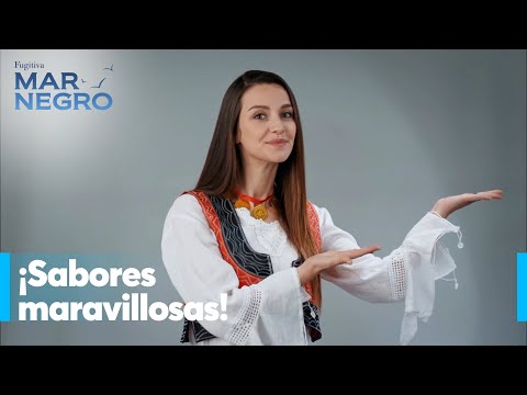 Hacer fotos para la tienda de Nefes - Mar Negro Capítulo 112 | Fugitiva