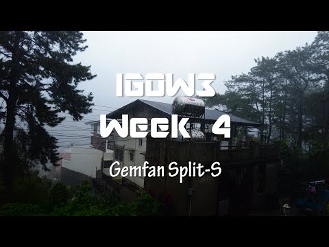 [IGOW3 Week 4] Gemfan Split-S | Bisyonaryo (bi·shah·nɑr·yo)