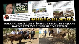 Hakkari Valisi ile Etimesgut Belediye Başkanı Nafiye Teyzeye 2 İnek Hediye Ettiler - Yüksekova