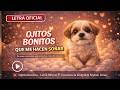 Ojitos Bonitos – Letra Oficial | Conciencia Animal x Styben Arias