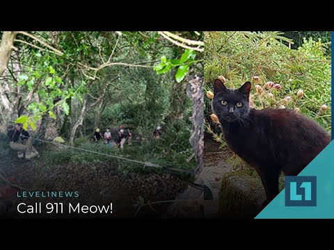 Level1 News August 27 2021: Call 911 Meow!