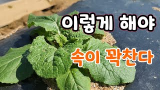 비 많이 올때 이렇게 하면 속이 곽찬다