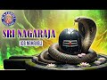 Sri Nagaraja Ashtottarashata Namavali With Lyrics Vedic Chant Naga Mantra Rajshri Soul