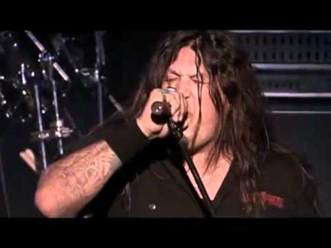 The New Order - Testament