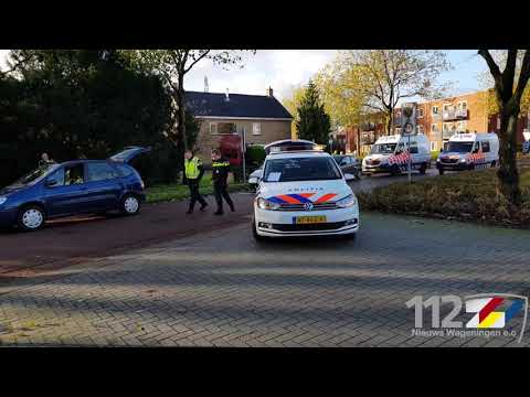 13   11   2017 Overstekend echtpaar gewond bij aanrijding, hondje dood Veenendaal