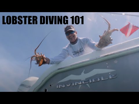 HOW TO CATCH SPINY LOBSTER w/PETER MILLER & MERCURY MARINE