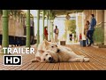 O Psie Który Jezdzil Koleja 2 Trailer Oficial 2025 Legendado