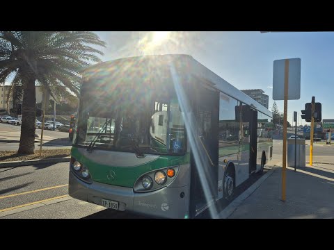 Transperth [midi] TP1850 Mercedes-Benz O4O5NH 