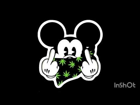 Asst-karbi along 52 H.P.K.rappar🤘