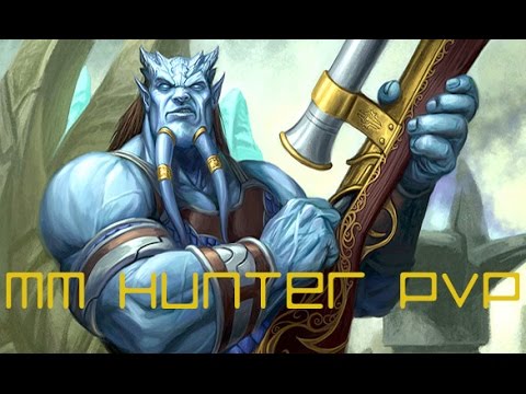 100 MM Hunter PvP - Let's Chat - Patch 6.0