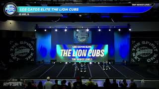 Los Gatos Elite The Lion Cubs | Santa Clara TSN Championships 2025 Day 1